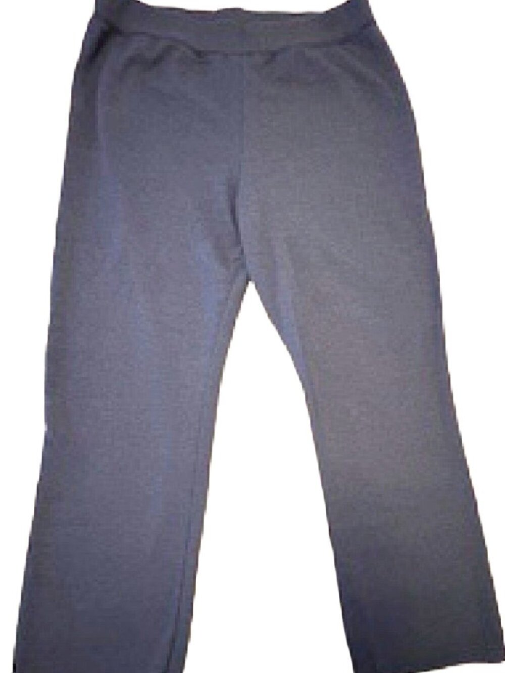 Hanes Ecosmart Women Sweatpants Size L Navy Blue